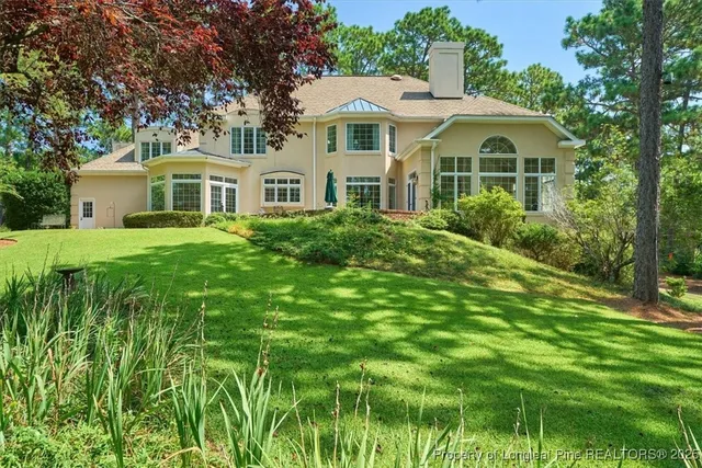 a view of a park with large trees