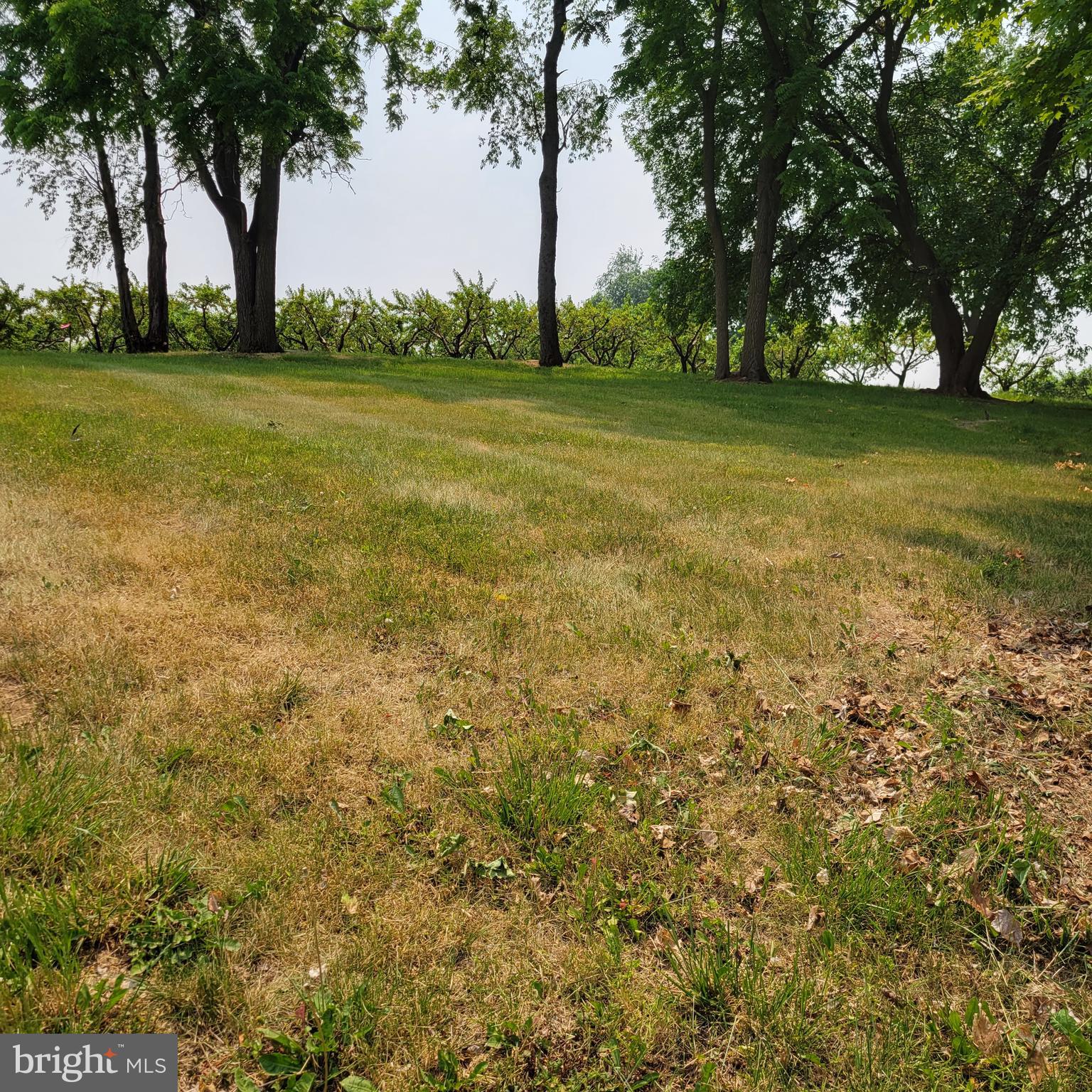 5410 Altenwald Road Waynesboro, PA 17268 - Photo 5 of 28