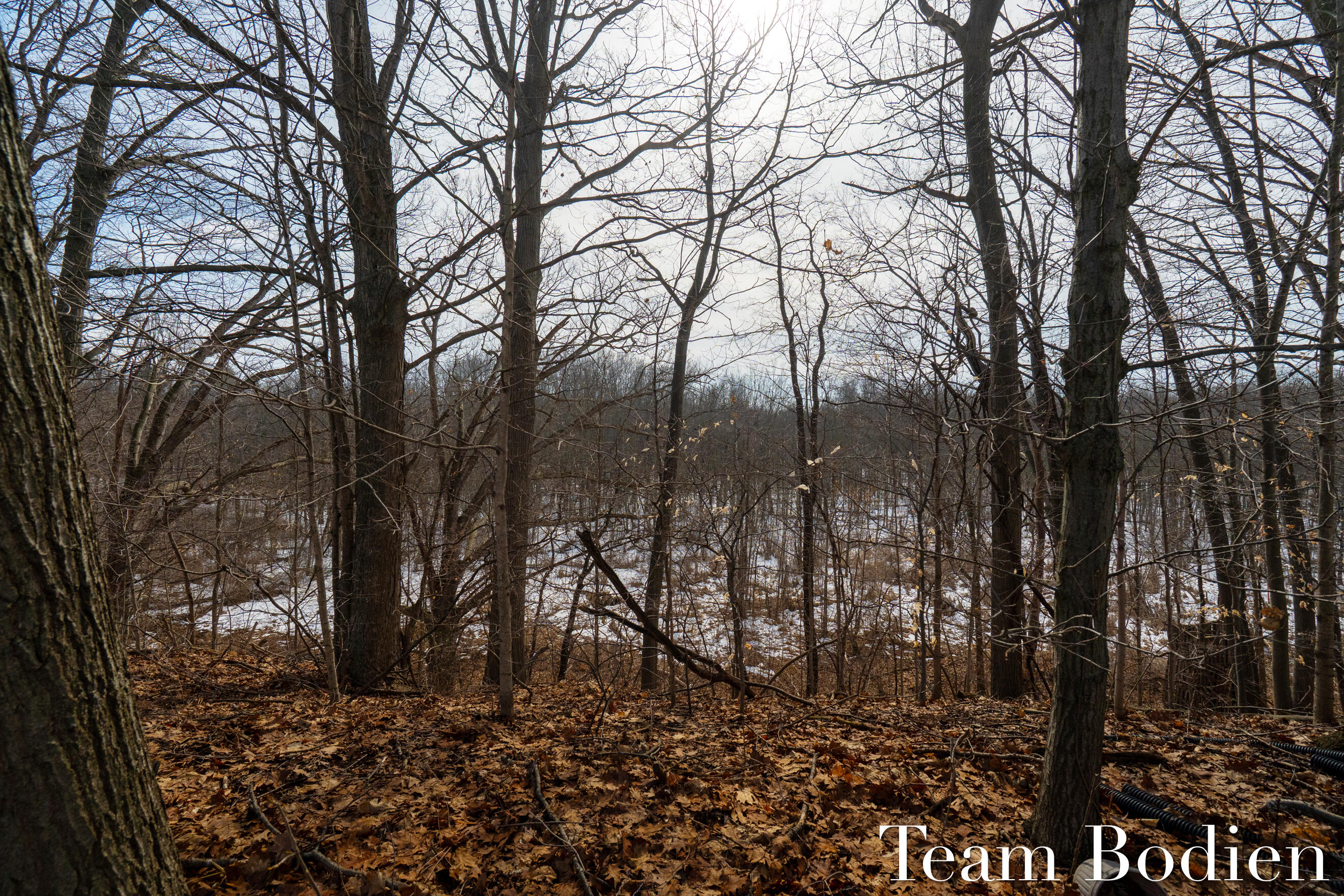 4842 Green Ridge Trail Hamilton, MI 49419 - Photo 9 of 33 DSC06142