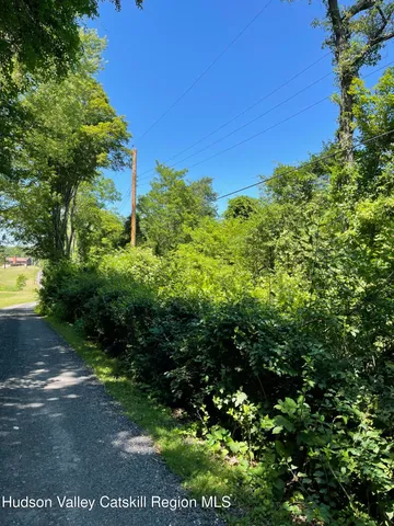 a view of a garden with plants