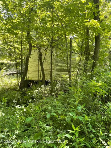 view of the back yard of the house