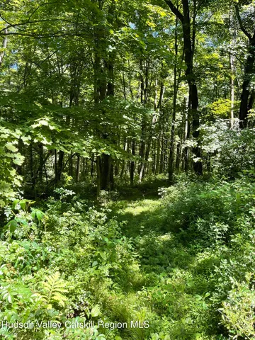 a view of a lush green field