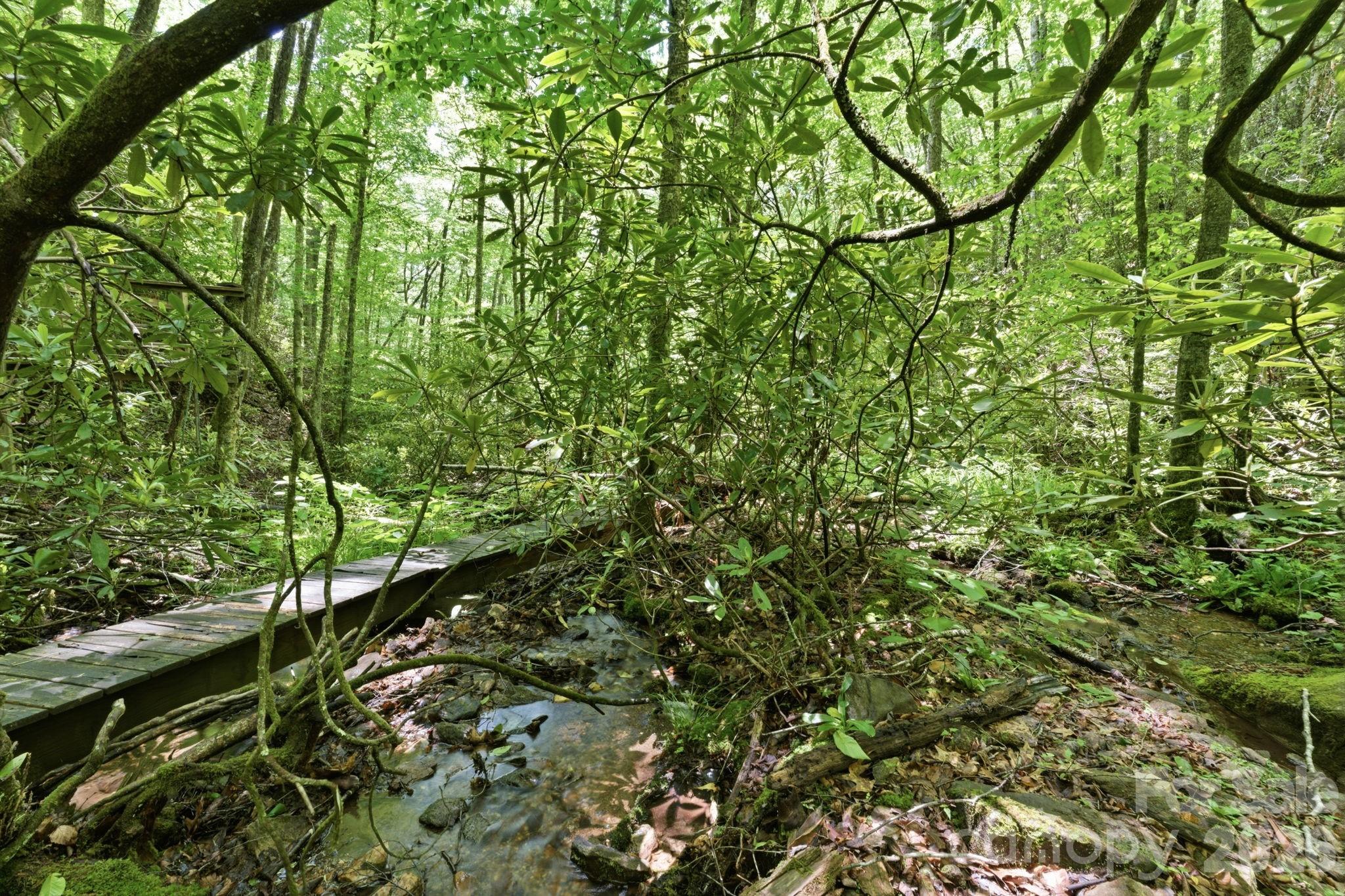 311 Copper Spur Road Maggie Valley, NC 28751 - Photo 45 of 45