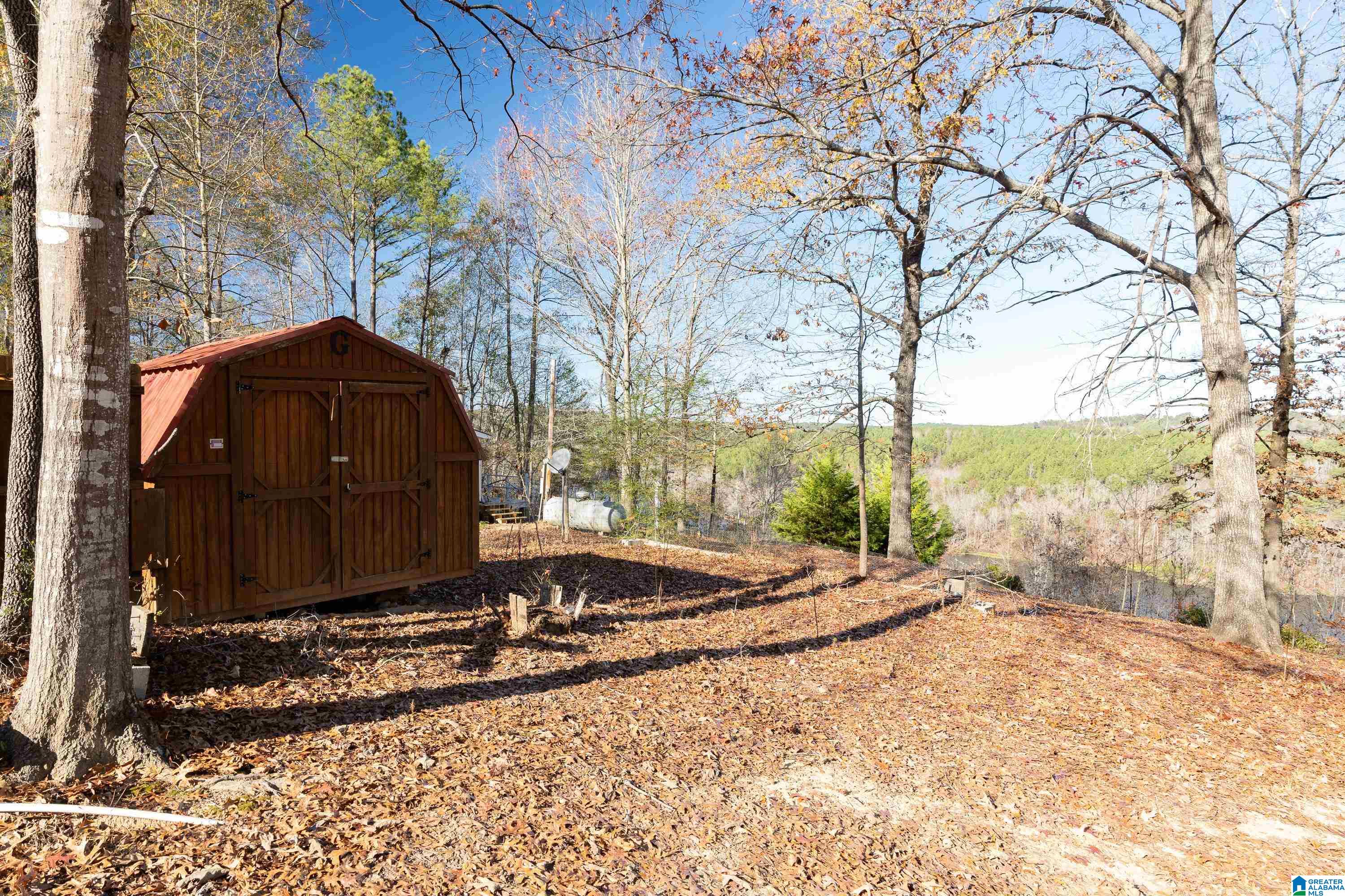 901 Old Patton Ferry Road Adger, AL 35006 - Photo 35 of 38