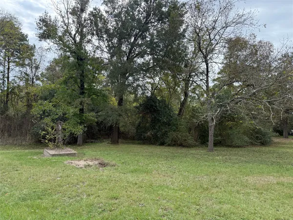 a view of an outdoor space
