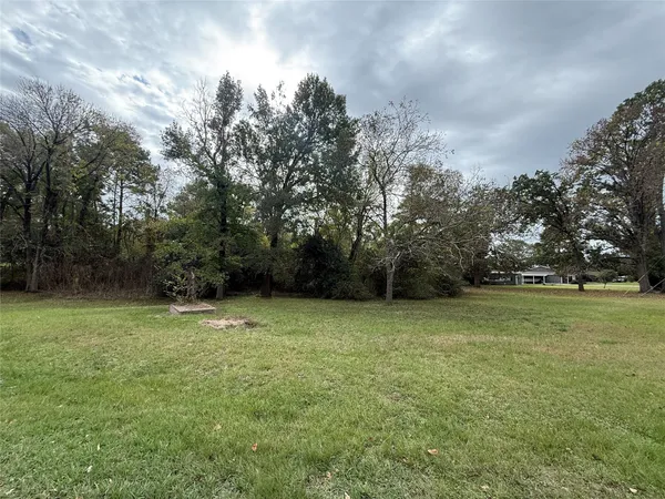 a view of outdoor space and yard