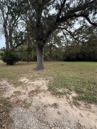 a view of a yard with a tree