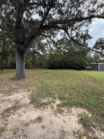 a view of a yard with a tree