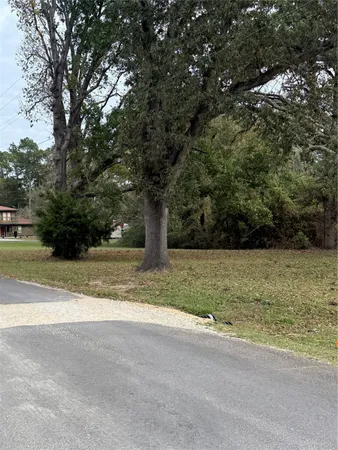 a view of a yard with large trees