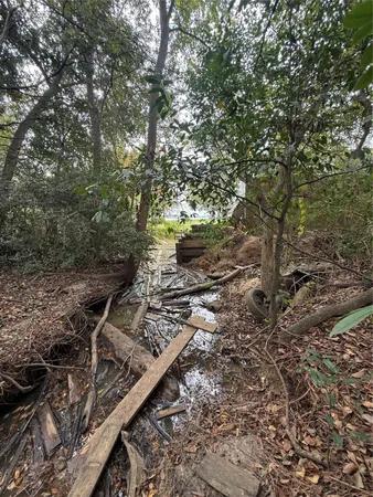 a view of a backyard with trees