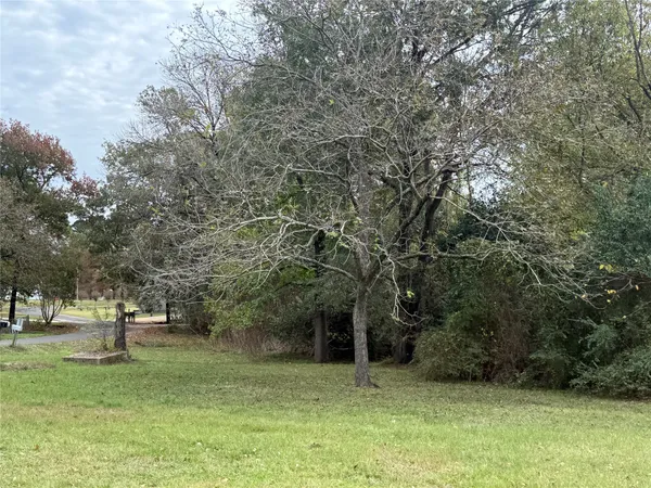 a view of outdoor space with deck and yard
