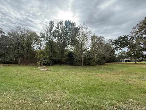 a view of a field with trees in the background