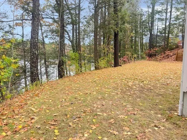 a view of a yard with trees