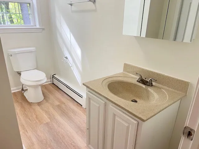 a bathroom with a sink and a toilet