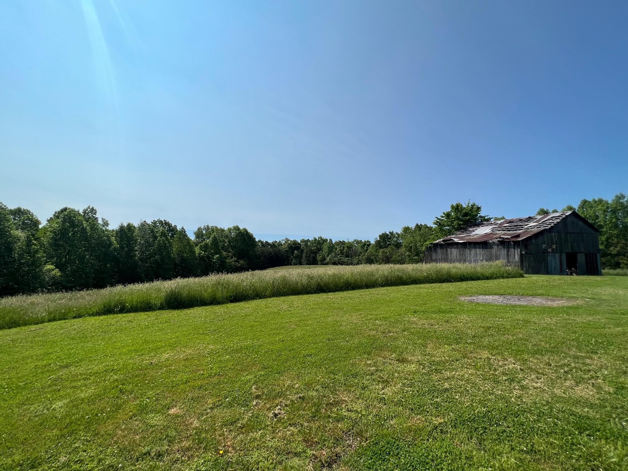 3938 Chestnut Level Road Liberty, KY 42539 - Photo 15 of 43 IMG_7086