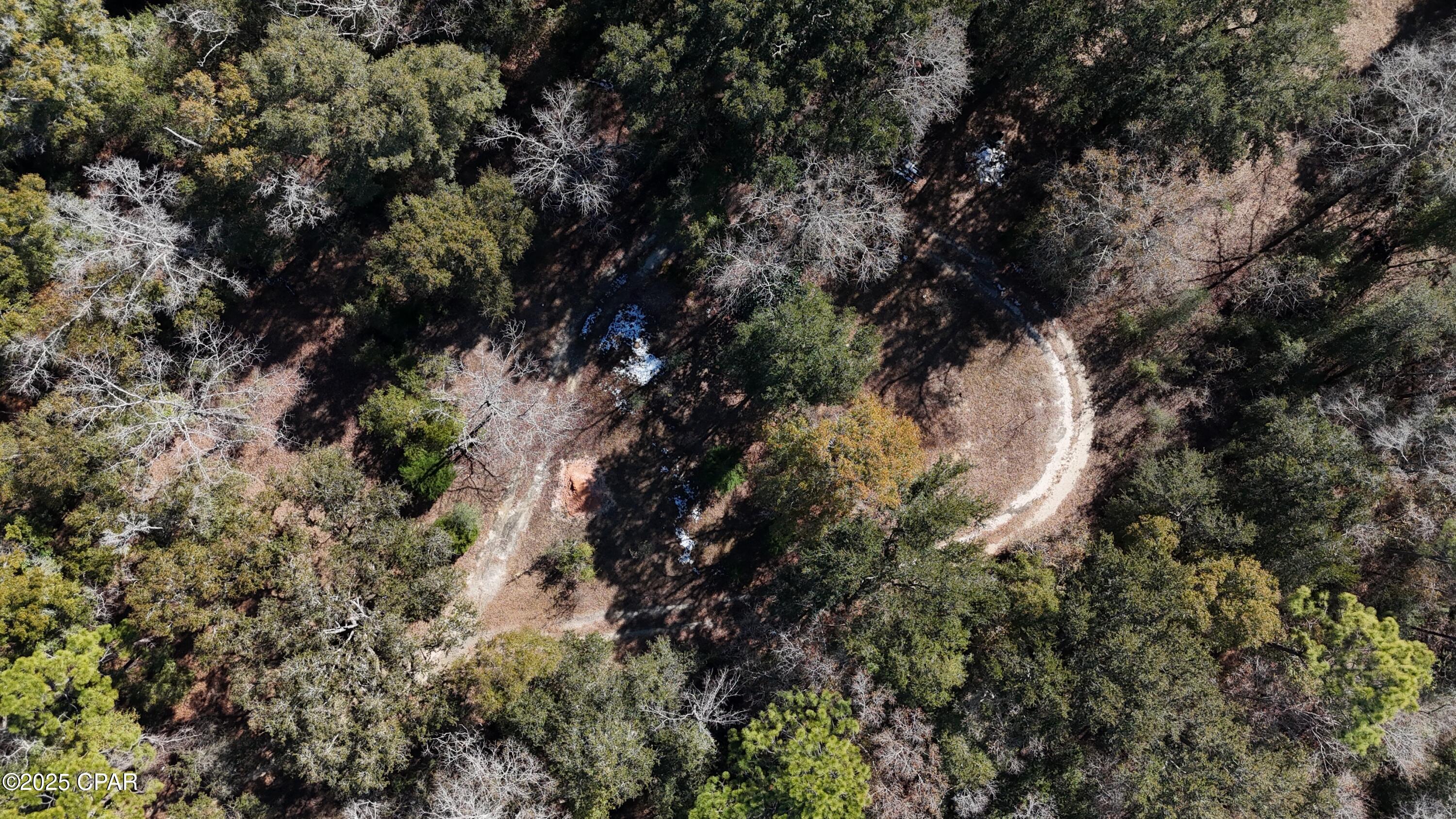 2013 Springhill Road Bonifay, FL 32425 - Photo 3 of 4