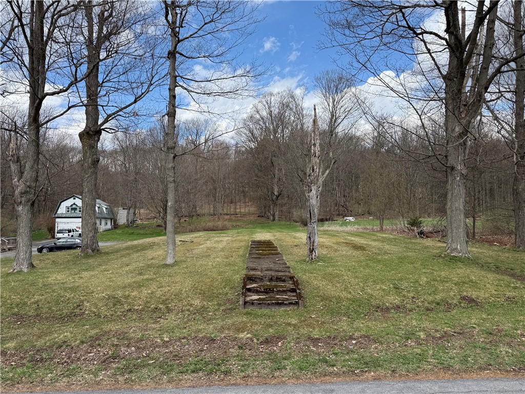 Prospect Street Stamford, NY 12167 - Photo 4 of 8
