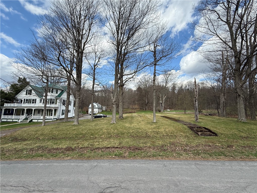 Prospect Street Stamford, NY 12167 - Photo 5 of 8