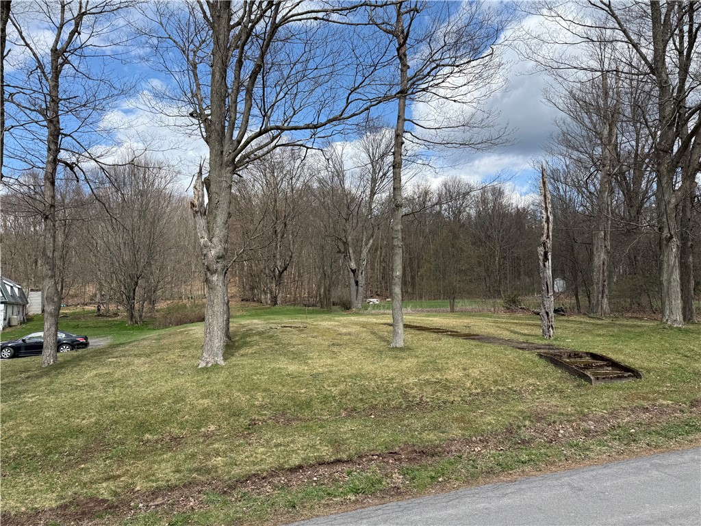 Prospect Street Stamford, NY 12167 - Photo 6 of 8