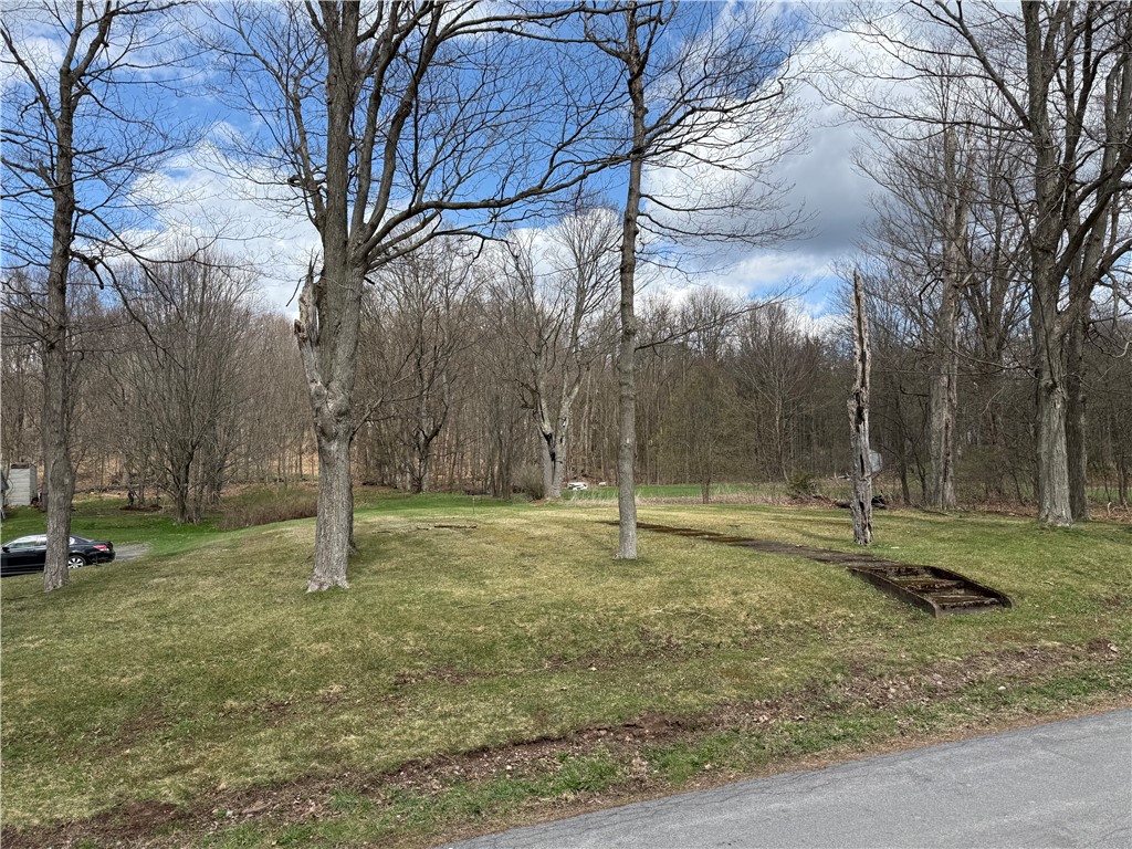 Prospect Street Stamford, NY 12167 - Photo 7 of 8