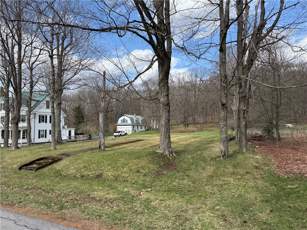 Prospect Street Stamford, NY 12167 - Photo 8 of 8