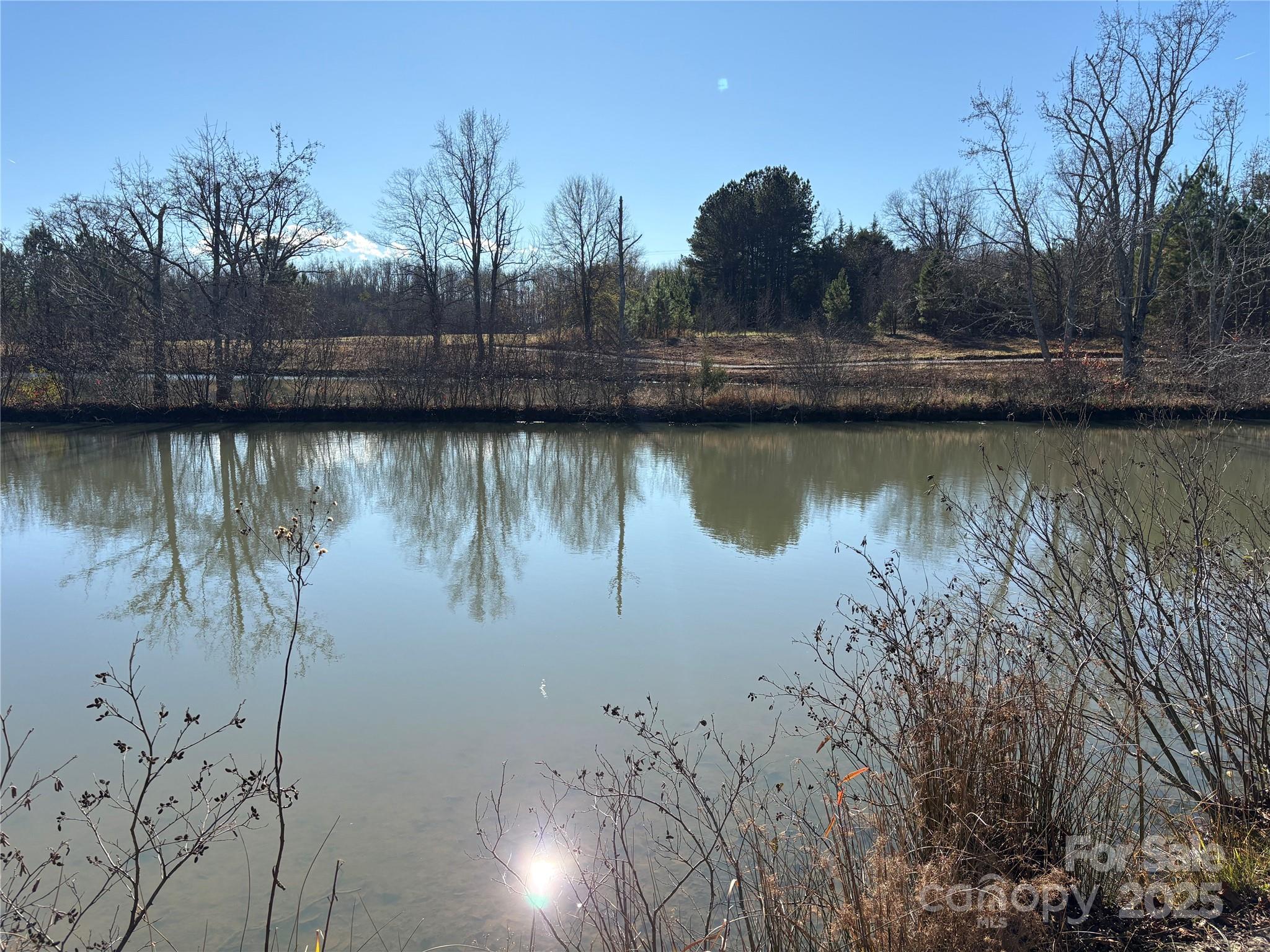 0 Johnson Road Columbus, NC 28722 - Photo 11 of 28