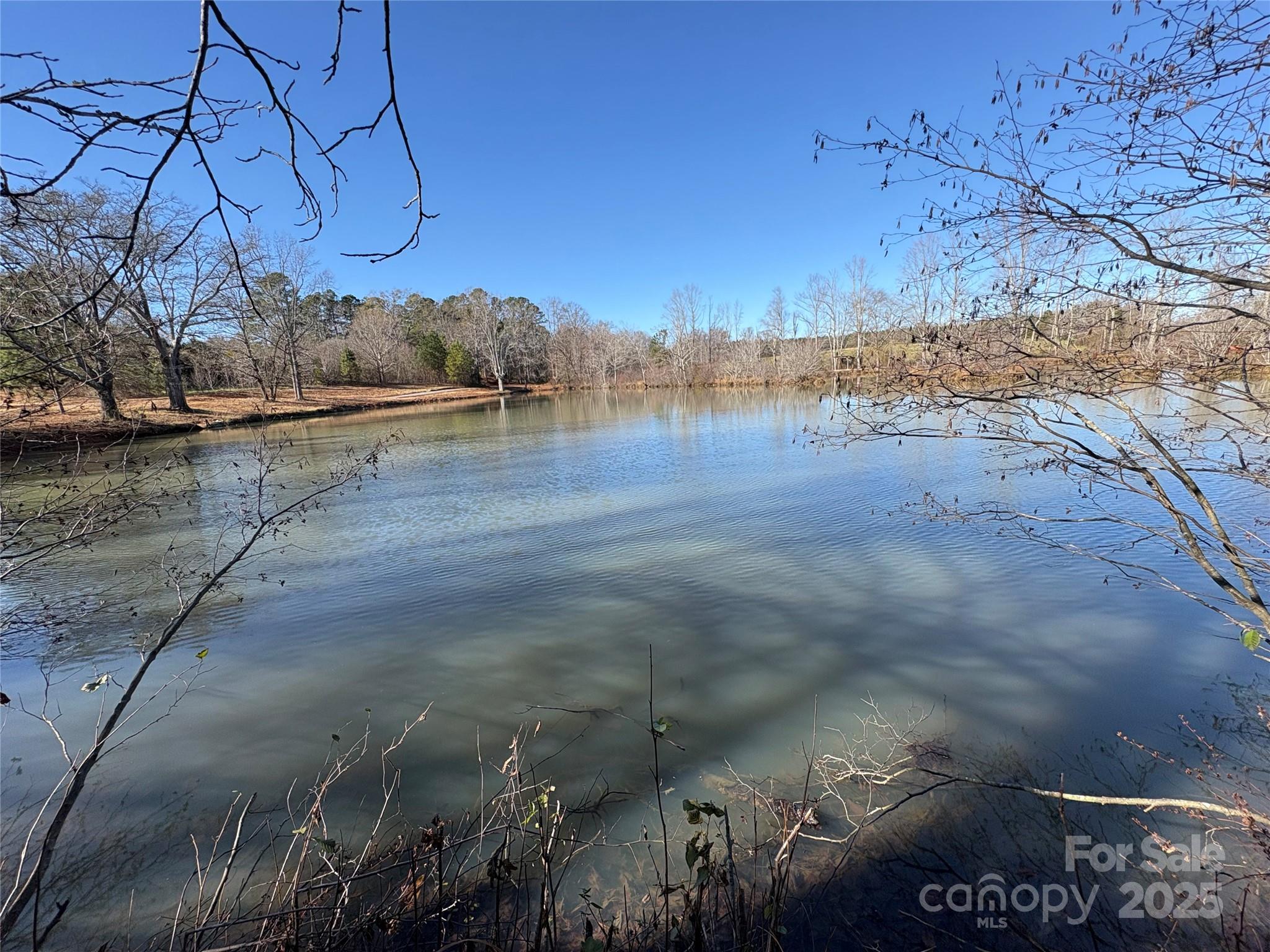 0 Johnson Road Columbus, NC 28722 - Photo 12 of 28