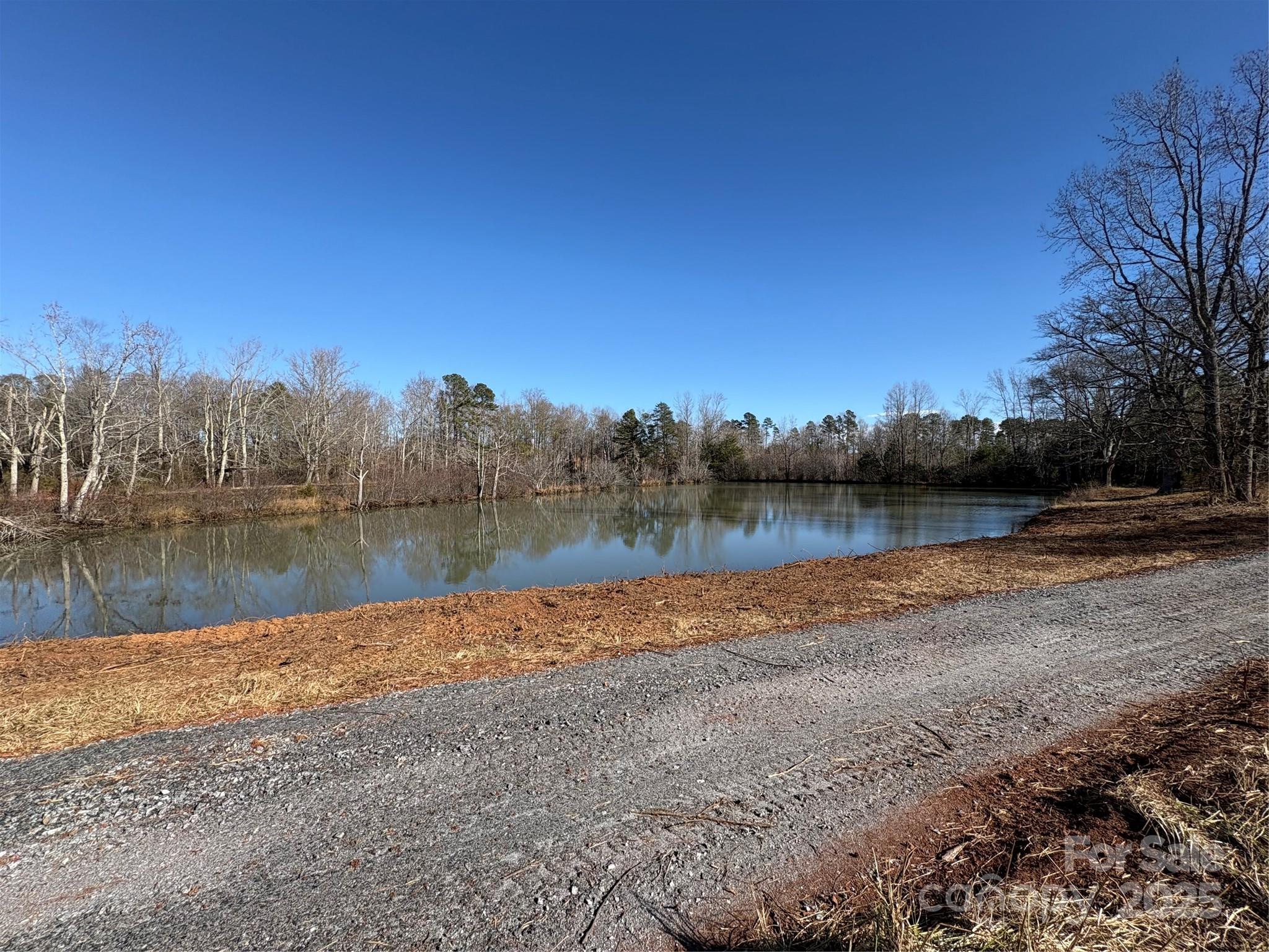 0 Johnson Road Columbus, NC 28722 - Photo 13 of 28
