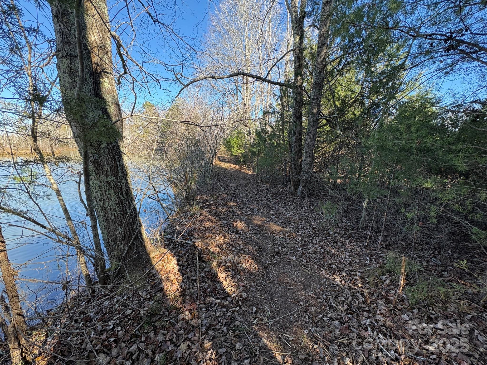 0 Johnson Road Columbus, NC 28722 - Photo 14 of 28