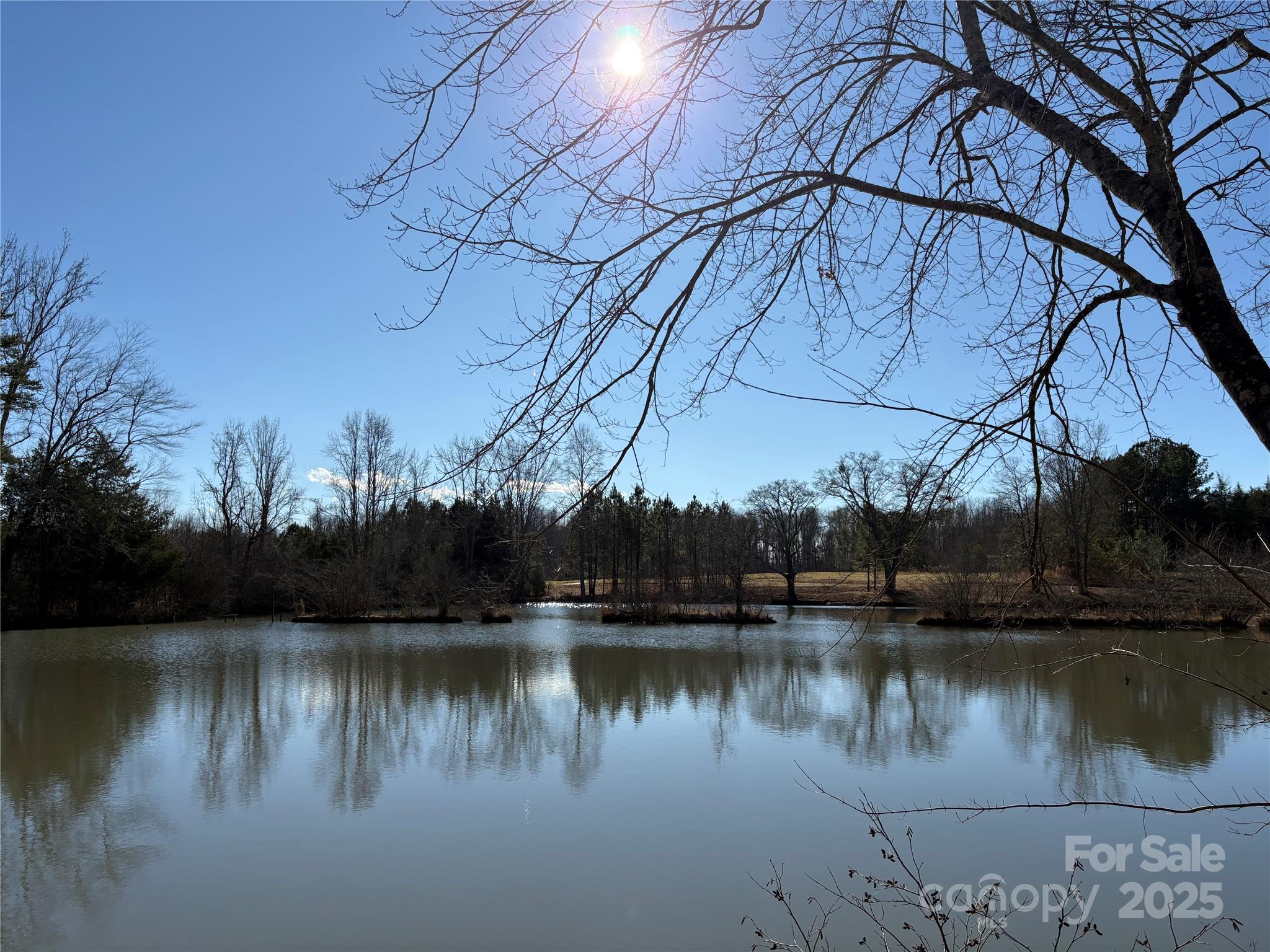 0 Johnson Road Columbus, NC 28722 - Photo 2 of 28