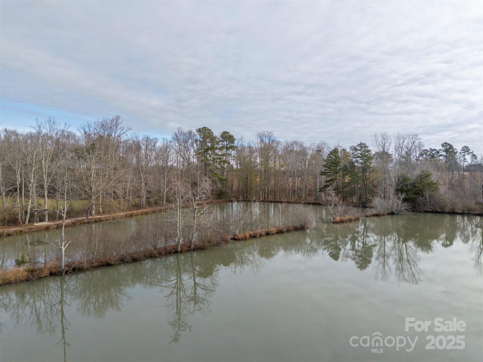 0 Johnson Road Columbus, NC 28722 - Photo 26 of 28