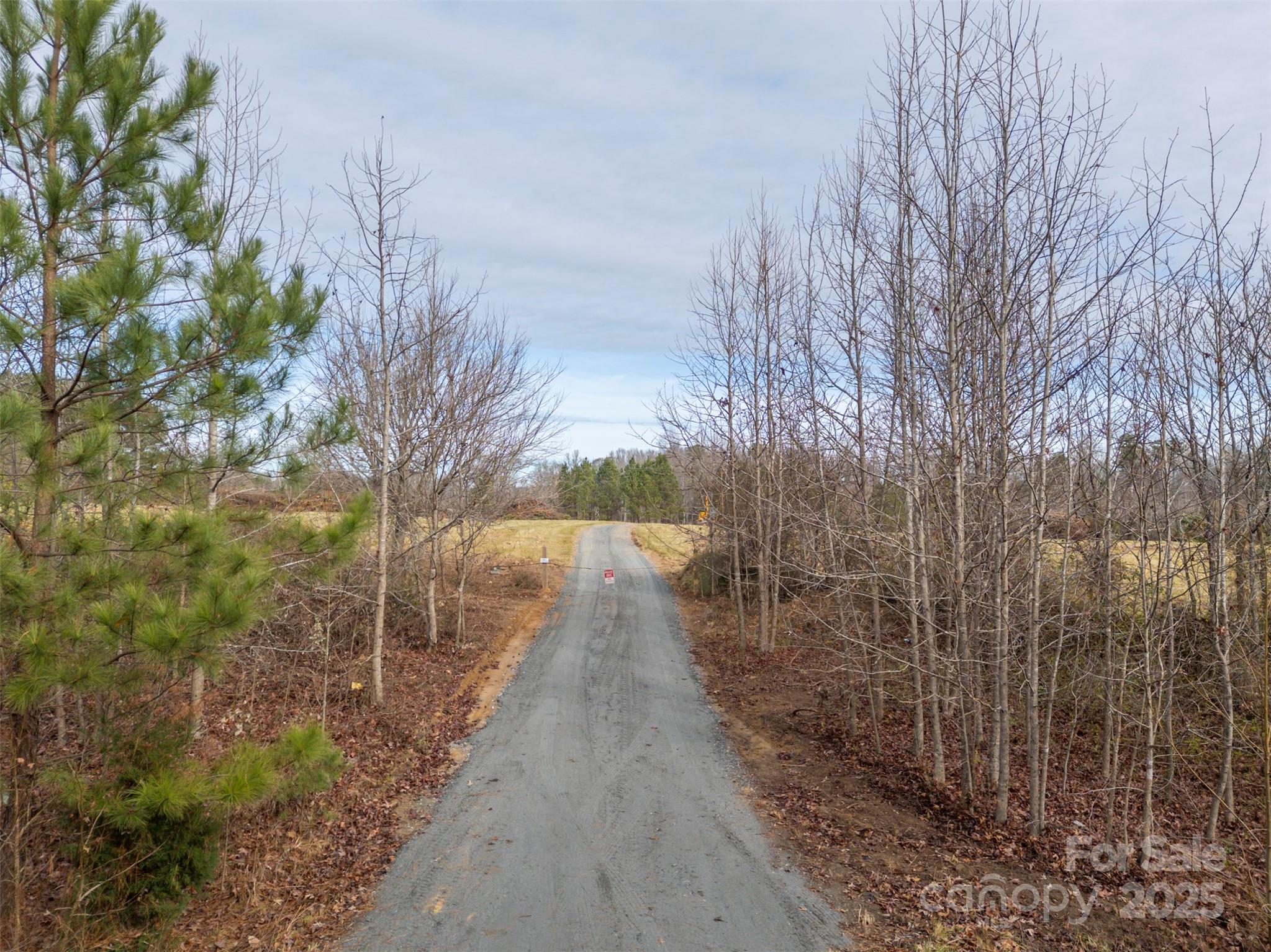 0 Johnson Road Columbus, NC 28722 - Photo 28 of 28