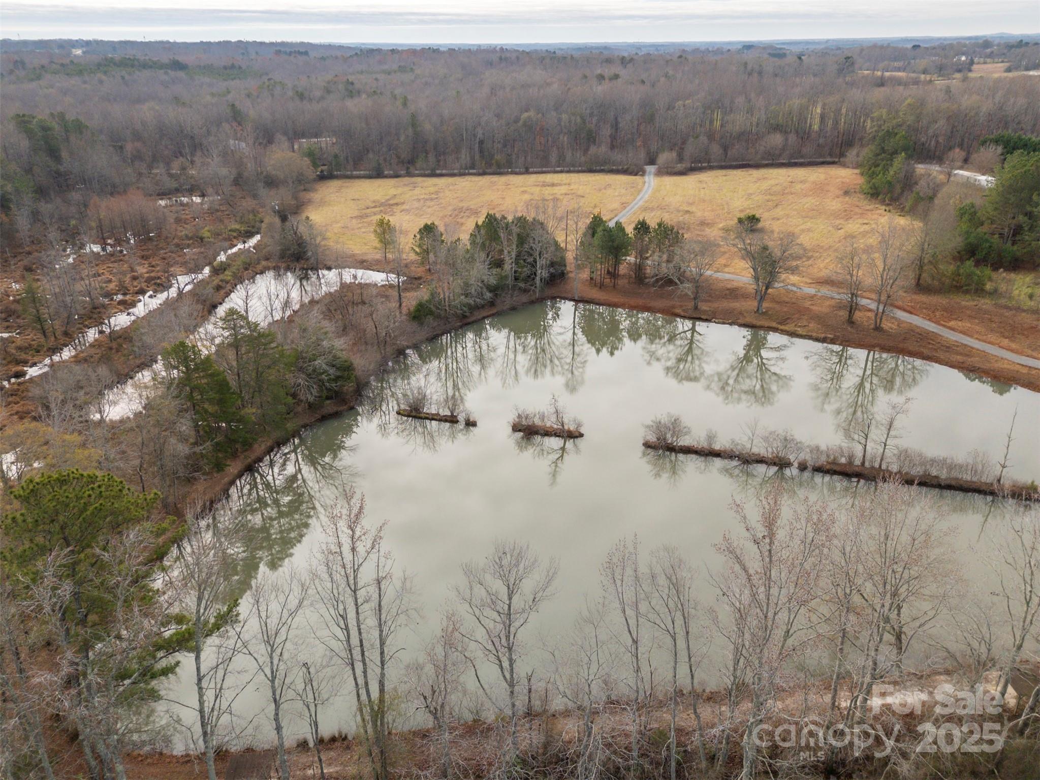 0 Johnson Road Columbus, NC 28722 - Photo 5 of 28