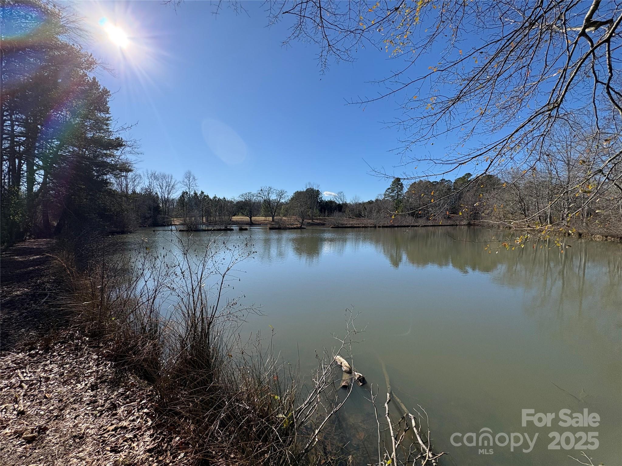 0 Johnson Road Columbus, NC 28722 - Photo 6 of 28