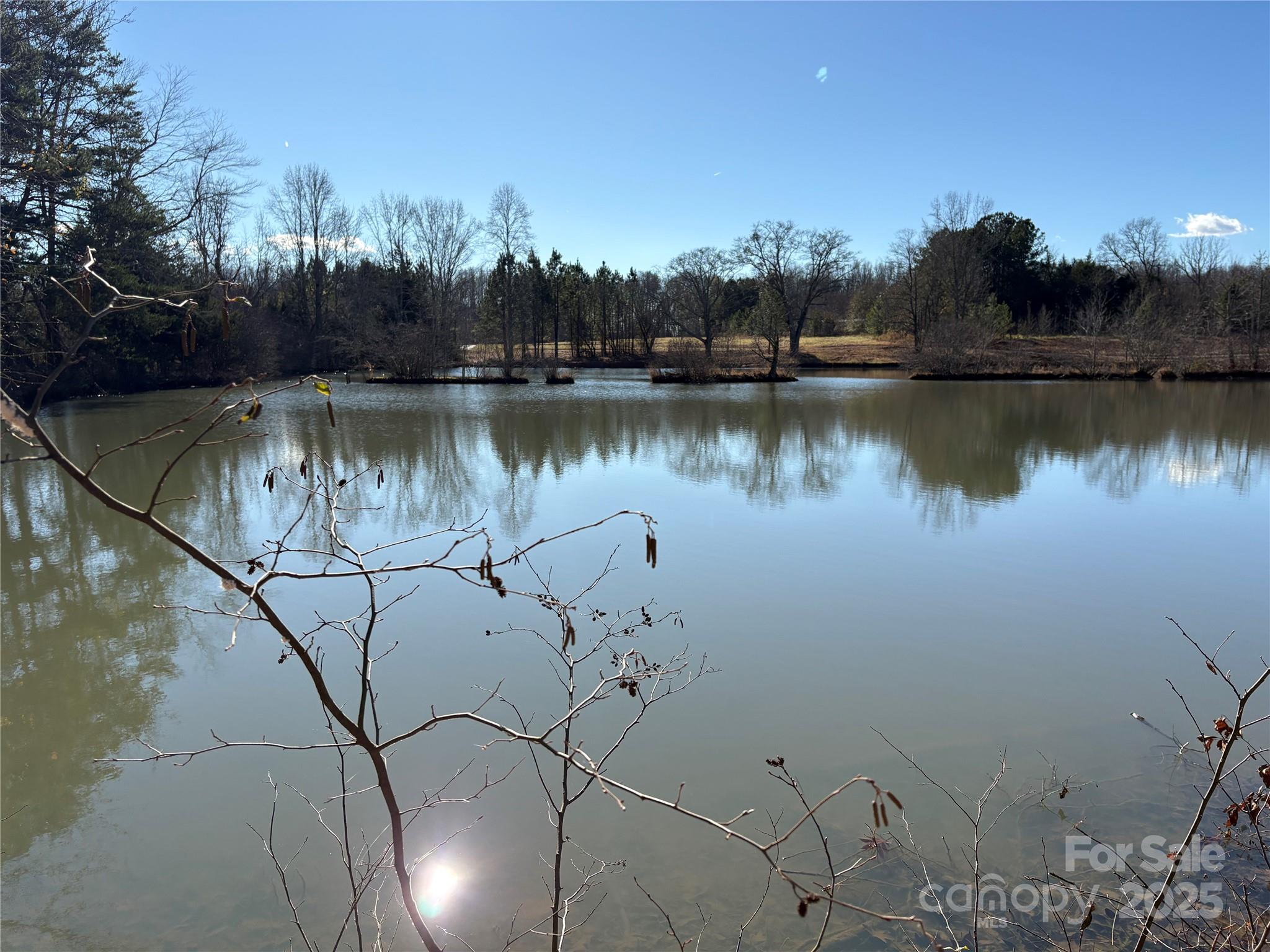 0 Johnson Road Columbus, NC 28722 - Photo 7 of 28