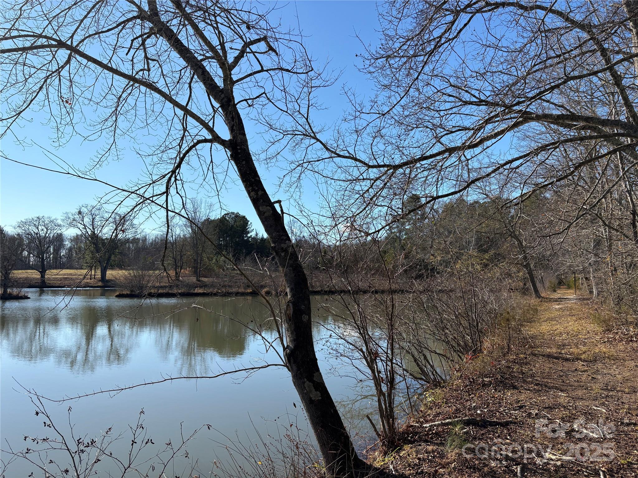 0 Johnson Road Columbus, NC 28722 - Photo 8 of 28