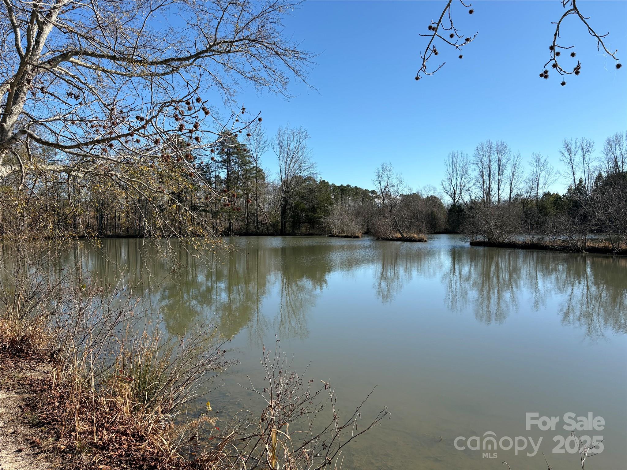 0 Johnson Road Columbus, NC 28722 - Photo 9 of 28