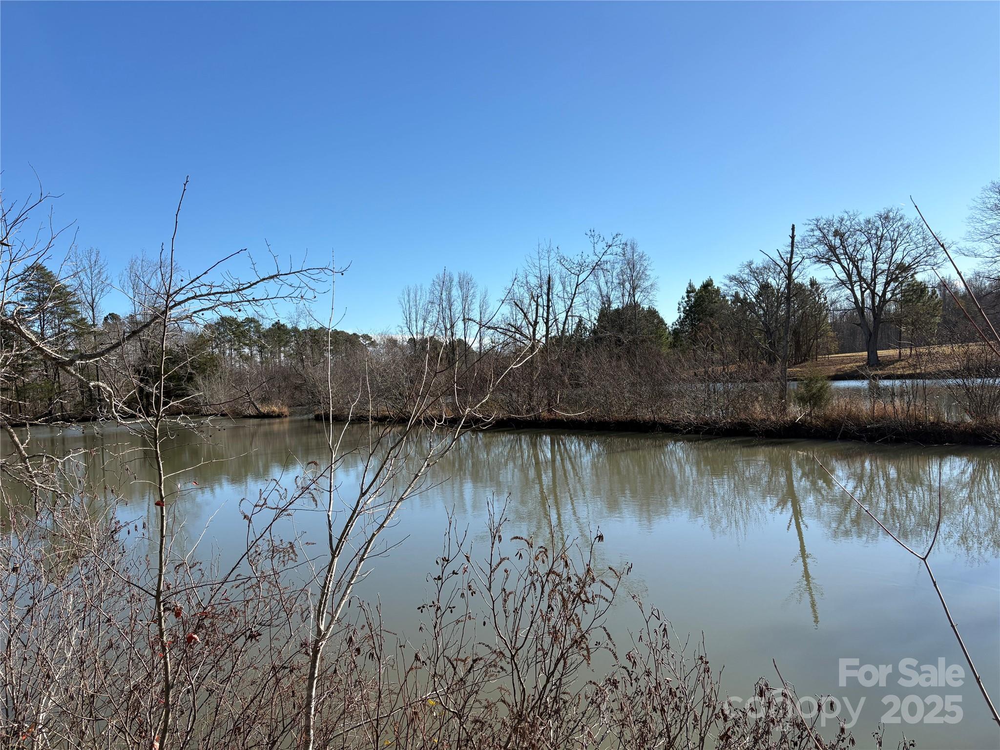 0 Johnson Road Columbus, NC 28722 - Photo 10 of 28