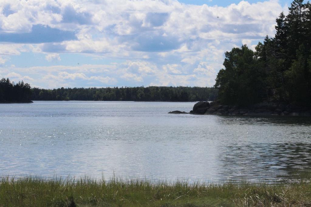 120 Lyons Road Lubec, ME 04652 - Photo 5 of 14 Almost high tide