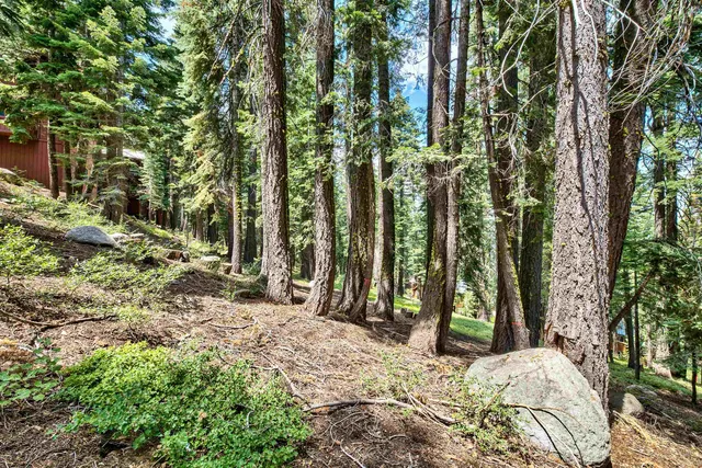 a backyard of a house with lots of green space