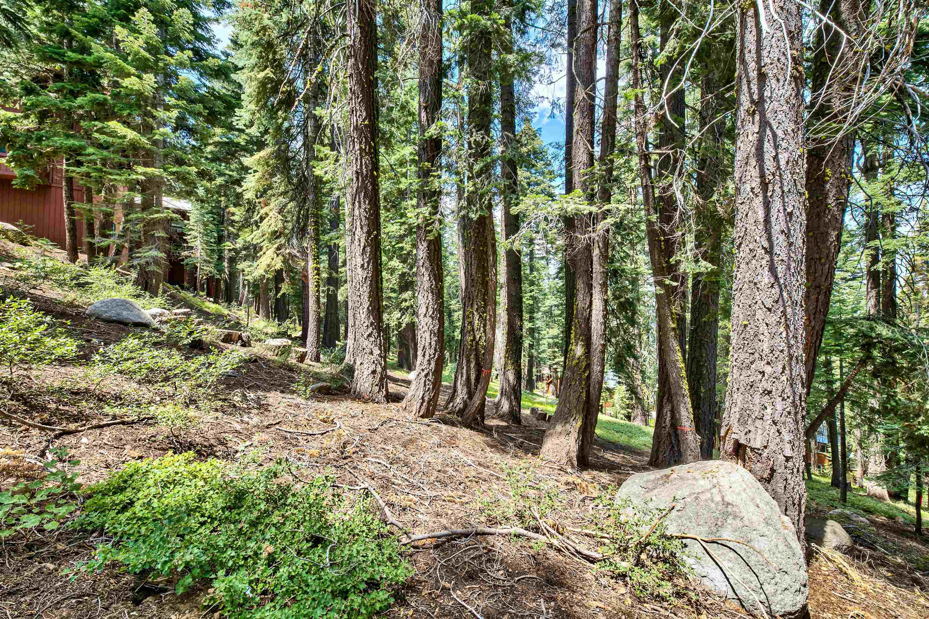 12005 Ski Slope Way Truckee, CA 96161 - Photo 17 of 26 a view of a backyard of the house