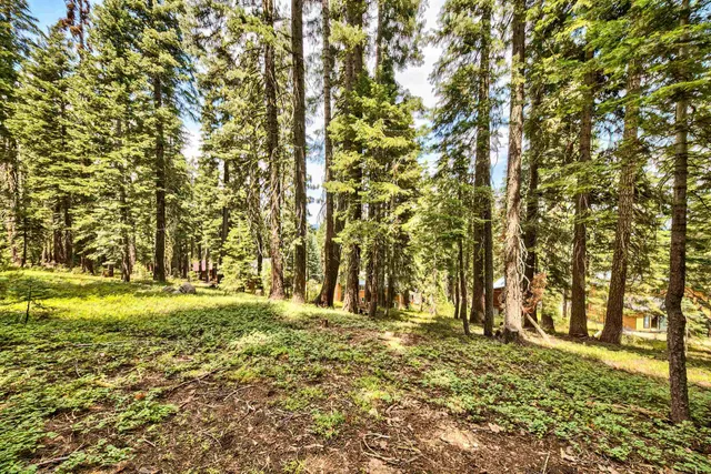 a view of outdoor space with deck and trees