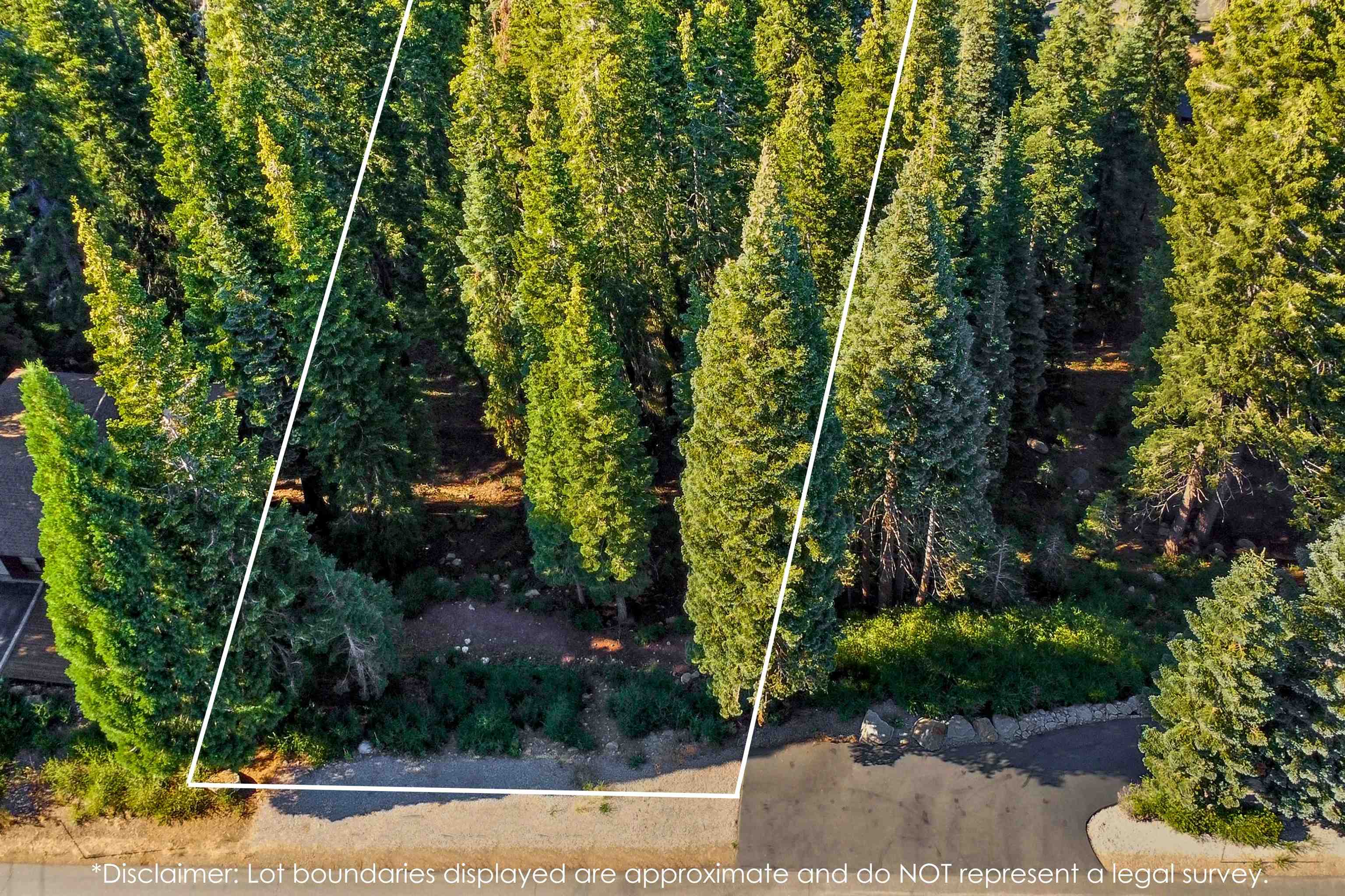 12005 Ski Slope Way Truckee, CA 96161 - Photo 3 of 26 a view of an outdoor space and a yard
