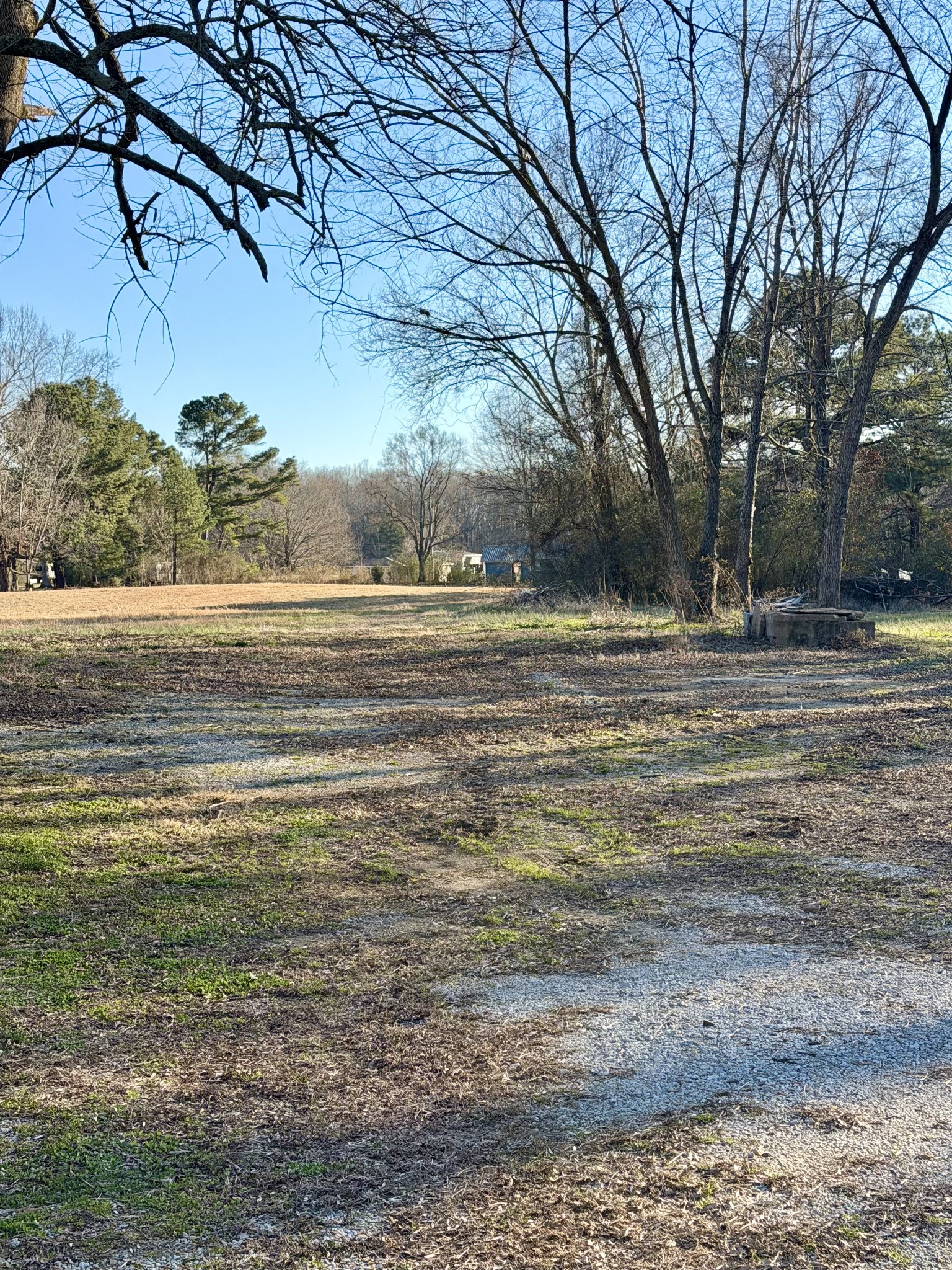 8605 Old State Rte 1 New Johnsonville, TN 37134 - Photo 16 of 17