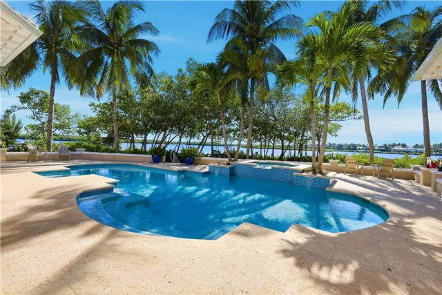 a view of a swimming pool with a table and palm trees