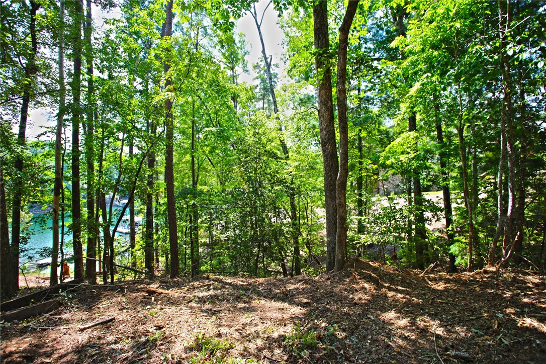 590 Old Chapman Bridge Road Salem, SC 29676 - Photo 34 of 43 Mature trees frame a quiet view toward the water from this wooded property.