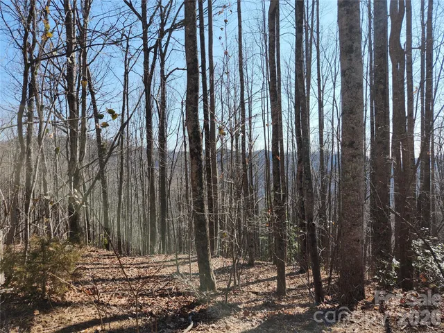 $24,900 | 78-79 Mckenzie Way South, Old Fort, NC 28762