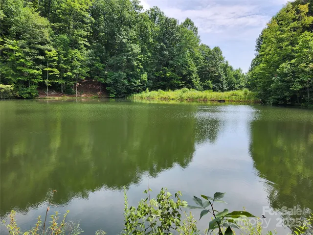 a view of a lake with a yard