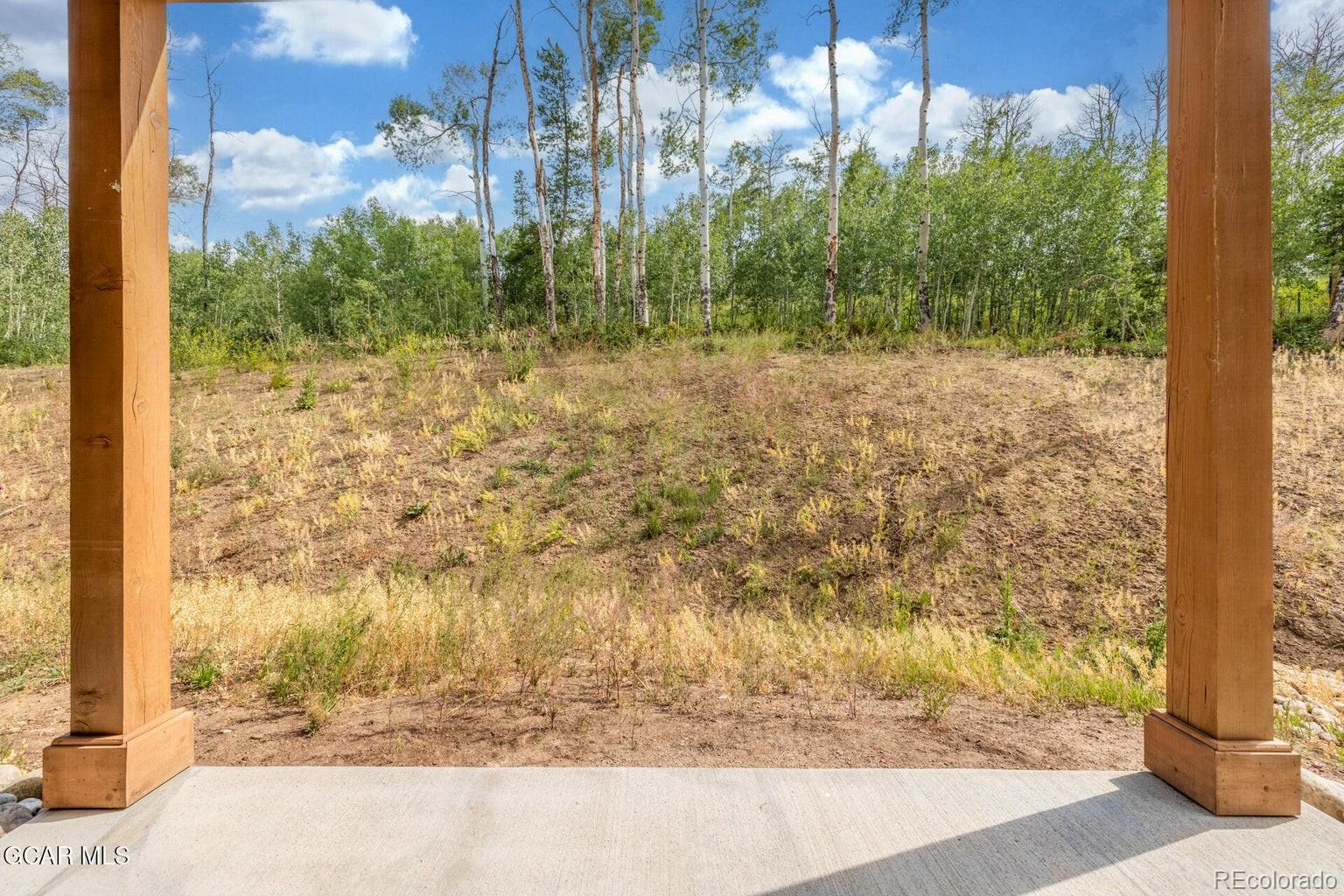 104 Saddle Mountain Camp Road Granby, CO 80446 - Photo 50 of 50 a view of a yard with a tree