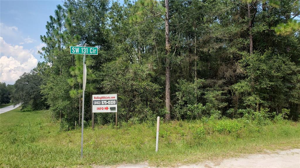0 Southwest 129th Terrace Road Ocala, FL 34481 - Photo 1 of 1 Gallery Image 1